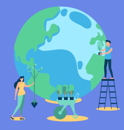 comunicare la sostenibilità