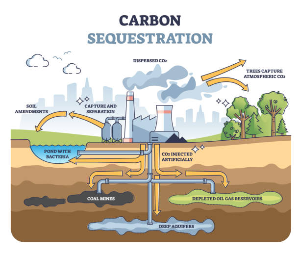 Il ciclo di sequestrazione del carbonio (CCS) può rendere l'edilizia sostenibile